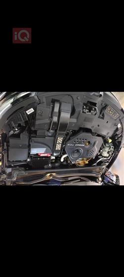 رينو تلسمان